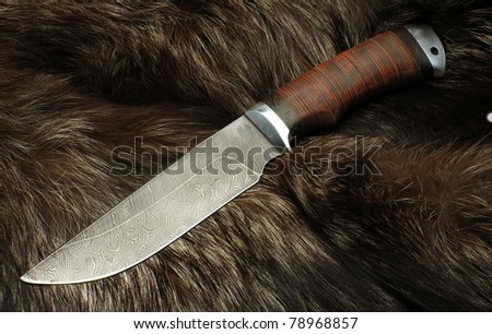 Knife on fur of a black fox