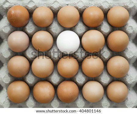 Group of ordered, identical chicken eggs where there is one different. This shows the uniqueness of individual contrasting with the mass