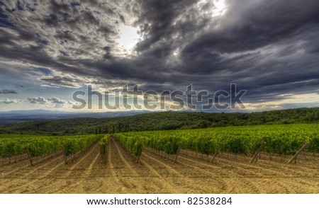 Vineyard in Montalcino, Tuscany with a dramatic evening sky before sunset