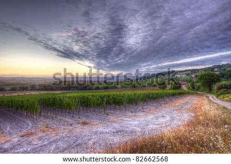 Montalcino Tuscany Italy