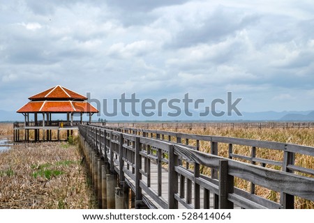 Pavilion and wooden bridge