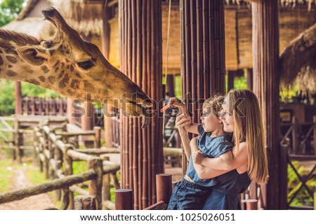 Happy mother and son watching and feeding giraffe in zoo. Happy family having fun with animals safari park on warm summer day.
