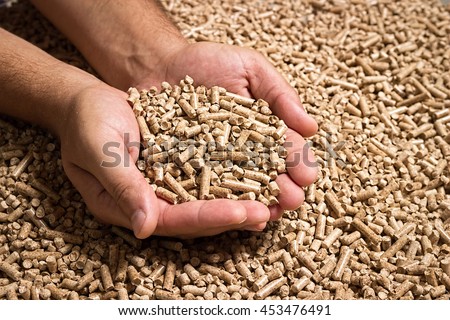 Wood pellets in the background. Biofuels. Cat litter. Man\'s hands.