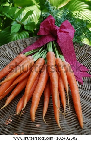 A bunch of fresh carrots on natural background