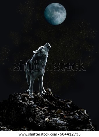 Wolf howls at the moon on a dark night