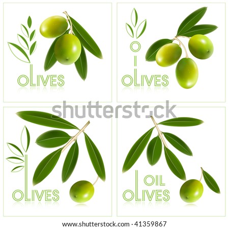 Logo. Olives. Stock Vector Illustration 41359867 : Shutterstock