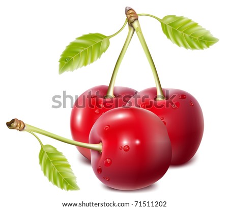 vector cherries