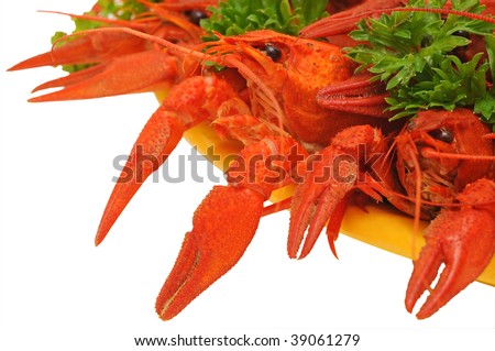 Boiled crayfishes on a dish with parsley and dill