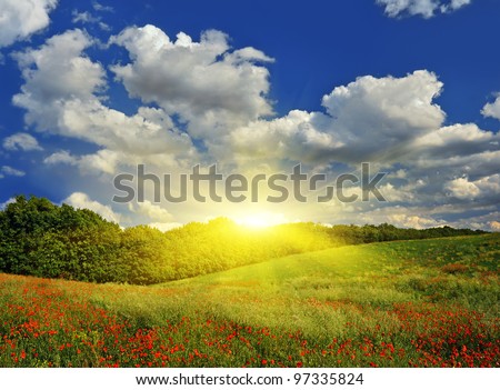 Sunrise over a spring meadow with red poppies against a blue sky. Spring landscape.