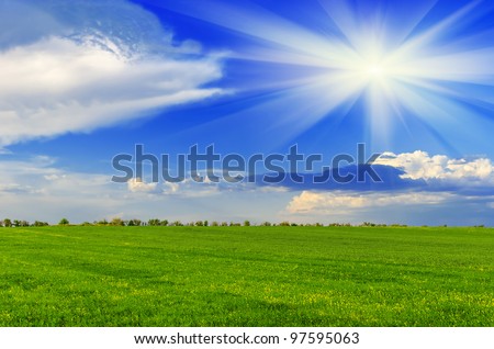 Spring sunny day on a green meadow. Spring landscape