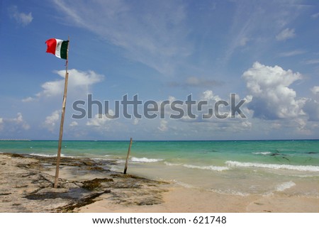 A mexican flag flaps in the wind, srtung up on the beach with driftwood.