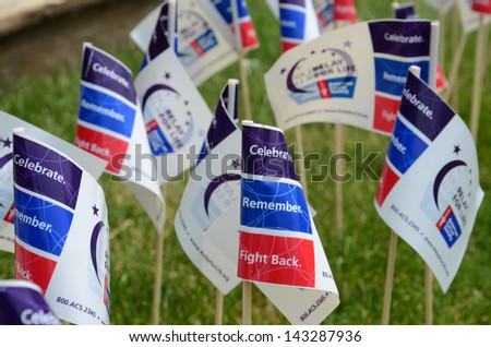 Ann Arbor, Mi - June 22: Flags On Display At The Relay For Life Of Ann Arbor Event On June 22, 2013 In Ann Arbor, Mi.