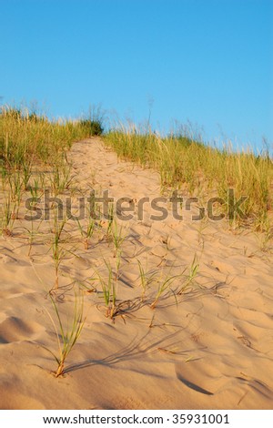 Dune path, Sleeping bear dunes, Michigan - vertical