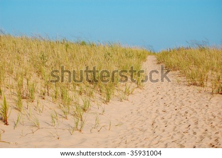 Dune path, Sleeping bear dunes, Michigan - horizontal