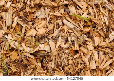 Close up of mulch with brown woodchips