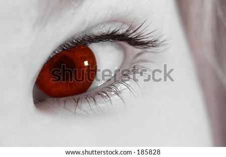 The eye of the vampire