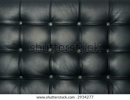 Luxury buttoned leather pattern