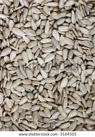 Macro background image of a sunflower seeds - one of the healthiest snack you can eat