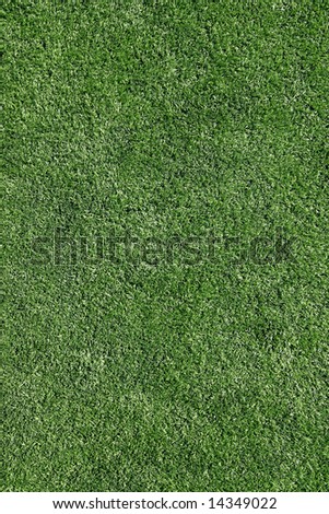Perfectly cut grass background