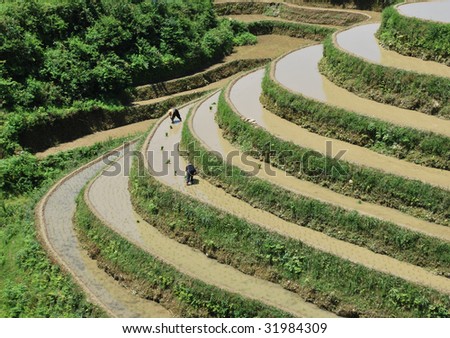 Longji Terrace was first built in the Yuan Dynasty with a history over 800 years. After generations\' cultivating, the terrace is now a typical representative of Chinese farming culture.