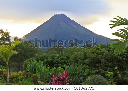A lush garden in La Fortuna, Costa Rica with Arenal Volcano in the background