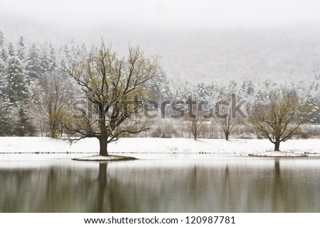 Snow-covered islands with trees on a Catskills lake near Big Indian, New York