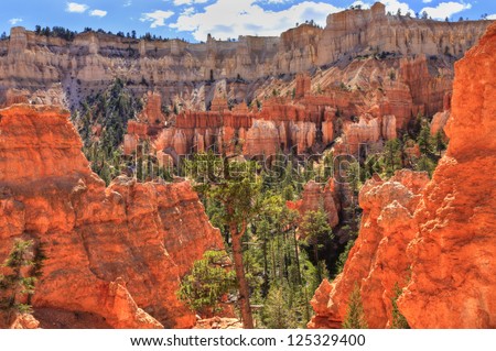 A ridge of dozens of hoodoos rise above a valley of pine trees in Bryce Canyon National Park, Utah (HDR)