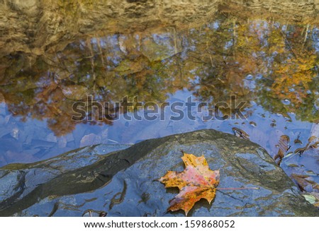 An autumn leaf and clifftop trees reflected in the pool below Frontenac Falls in Trumansburg, NY