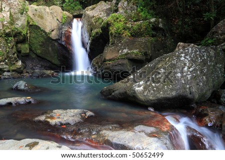Falls and pool below La Mina Falls in the El Yunque rainforest in the Caribbean National Forest, Puerto Rico