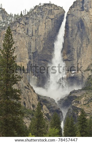 A fir tree stands tall in the foreground of mighty Yosemite Falls, the tallest waterfall in North America
