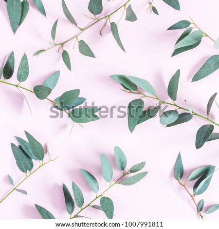 Eucalyptus leaves on pink background. Pattern made of eucalyptus branches. Flat lay, top view, square.