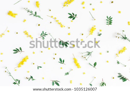 Flowers composition. Pattern made of pistachio leaves and yellow flowers on white background. Easter, spring, summer concept. Flat lay, top view