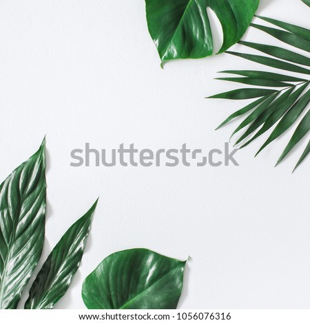 Leaf pattern. Green tropical leaves on gray background. Summer concept. Flat lay, top view, copy space, square