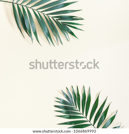 Leaf pattern. Green tropical leaves on yellow background. Summer concept. Flat lay, top view, copy space, square