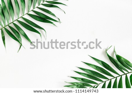 Tropical palm leaves on white background. Summer concept. Flat lay, top view, copy space, close up