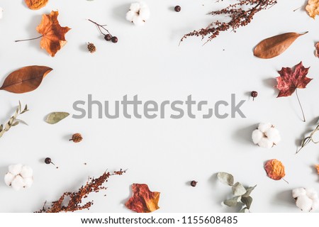Autumn composition. Frame made of eucalyptus branches, cotton flowers, dried leaves on pastel gray background. Autumn, fall concept. Flat lay, top view, copy space