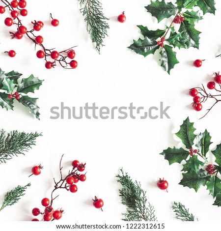 Christmas composition. Frame made of christmas plants on white background. Flat lay, top view, copy space