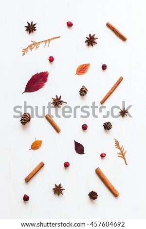 autumn composition with autumn leaves, cinnamon sticks, anise stars, cones and dried cranberry,  top view, flat lay