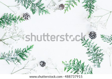 Christmas frame made of pine cones, thuja branches and gypsophila flowers. Christmas composition. Top view, flat lay