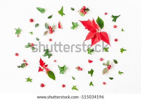 Christmas poinsettia. Frame made of traditional christmas plants. Flat lay, top view