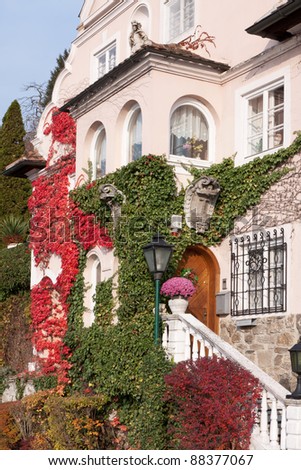 Old house with climbing plants in autumn
