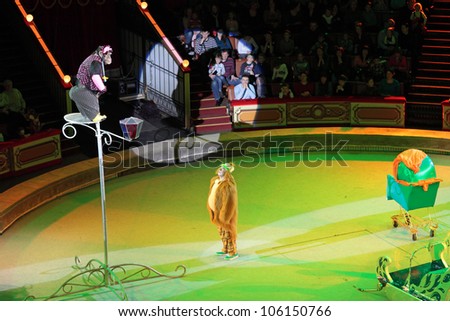 MOSCOW, RUSSIA - JAN 1: The New year\'s show in the Moscow State Circus. The trained monkey of the Moscow State Circus on January 1, 2012 in Moscow, Russia