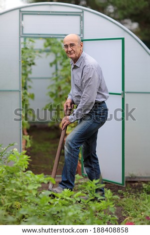 Pensioner scapulae the earth in the garden