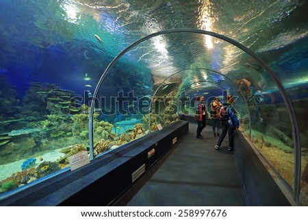 SOCHI, ADLER, RUSSIA - MAR 12, 2014: Sochi Discovery World Aquarium - one of the main attractions of Adler, the largest aquarium in Russia