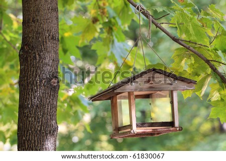 Small House Birds