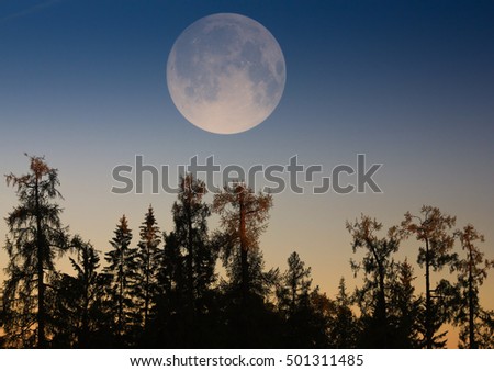 Supermoon.Full moon. The great moon at sunset. View of a big moon