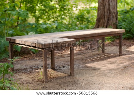 recycled redwood bench with a life redwood tree behind it