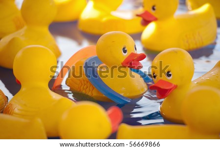 throwing rings at rubber duckies at a carnival