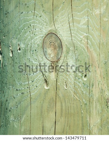 knotted dead  tree  with wavy wood grain