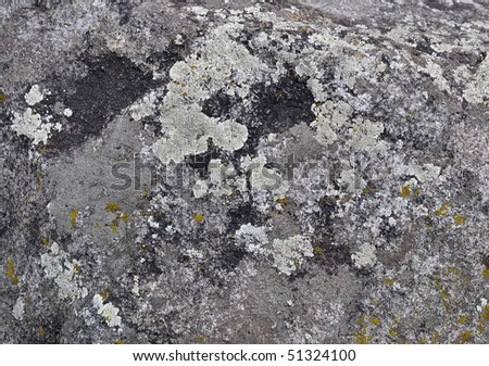 Granite stone with moss. Appropriate background